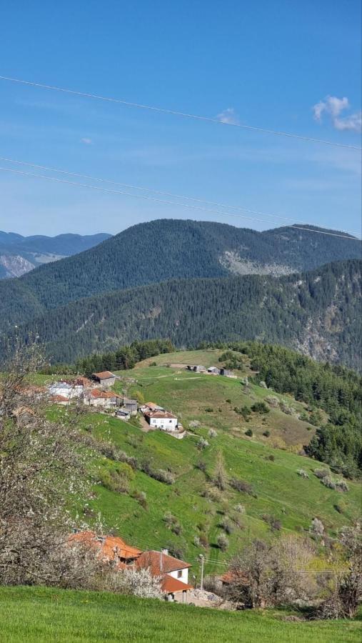 Родопска Къща За Гости С.Чала Chala Dış mekan fotoğraf