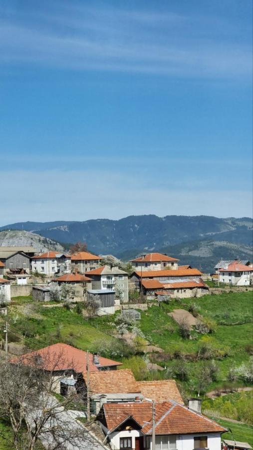 Родопска Къща За Гости С.Чала Chala Dış mekan fotoğraf