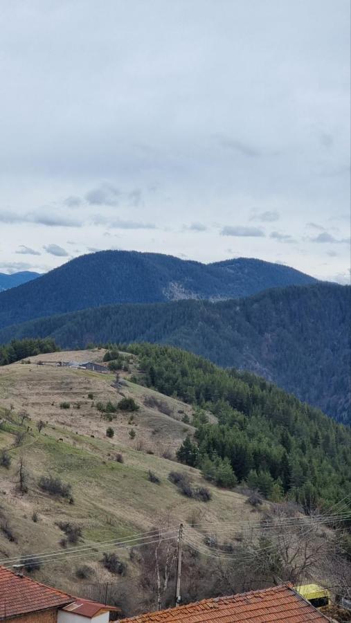 Родопска Къща За Гости С.Чала Chala Dış mekan fotoğraf